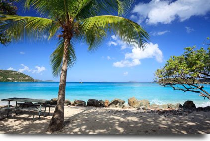 The Saint John Weather is Perfect in the View of Your Caribbean Island Vacation on Cinnamon Bay Beach